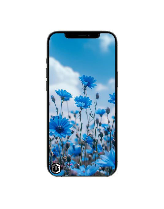 Apple iPhone 12 Pro 128GB 5G Battery 100% - Graphite (Good -Reconditioned)