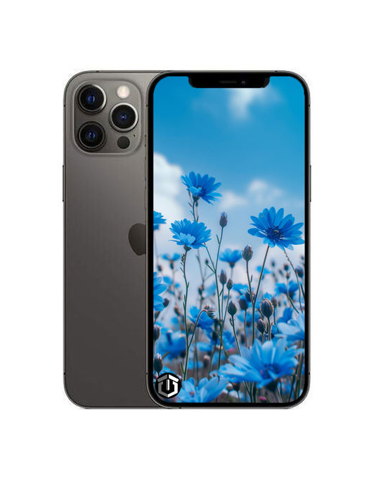 Apple iPhone 12 Pro 128GB 5G Battery 100% - Graphite (Good -Reconditioned)