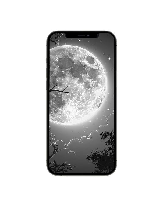 Apple iPhone 12 Pro Max 128GB 5G (Good- Pre-Owned)