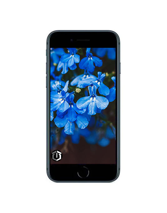 Apple iPhone 8 256GB - Space Grey (Very Good- Pre-Owned)