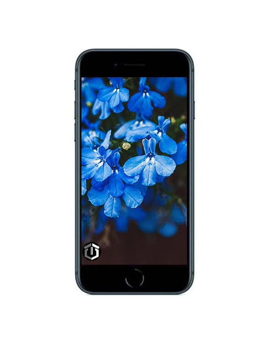 Apple iPhone 8 256GB - Space Grey (Very Good-Refurbished)