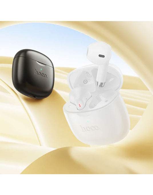 Hoco TWS Bluetooth Earbuds With Deep Bass (EW201)