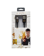 Load image into Gallery viewer, HARRY POTTER 19 DC USB TO IOS- CHARGING CABLE
