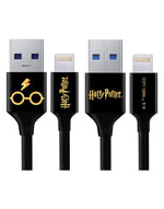 Load image into Gallery viewer, HARRY POTTER 19 DC USB TO IOS- CHARGING CABLE
