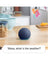 Amazon Echo Dot 5th Gen