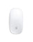 Apple Magic Mouse MK2E3ZA/A - White