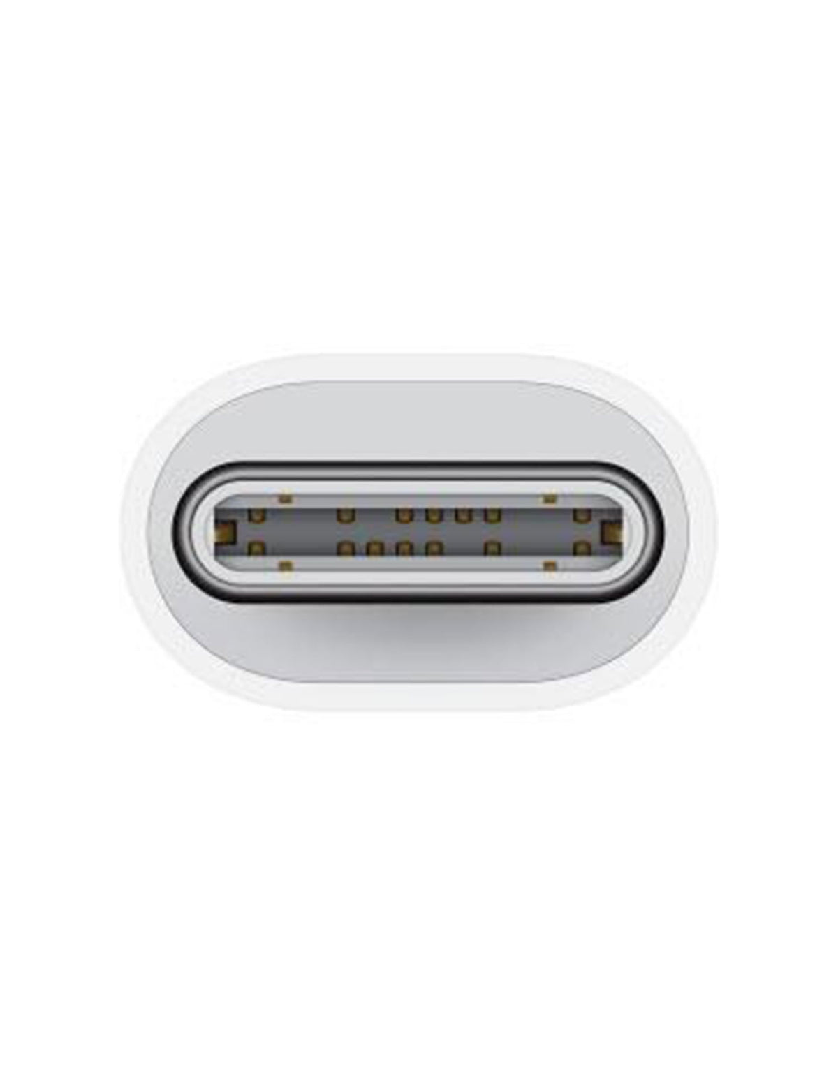 Apple USB-C to Lightning Adapter - White