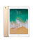 Apple iPad 5th Gen (2017) 9.7-inch 32GB Wifi + Cellular - Gold