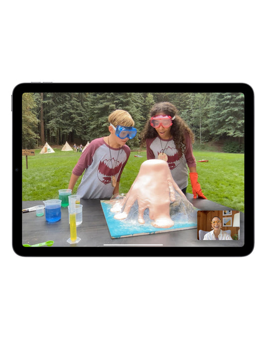 Apple iPad Air 4th Gen (2020) 10.9-inch 256GB Wifi Only