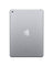 Apple iPad 5 (2017) 9.7-Inch 32GB WiFi + Cellular 4G