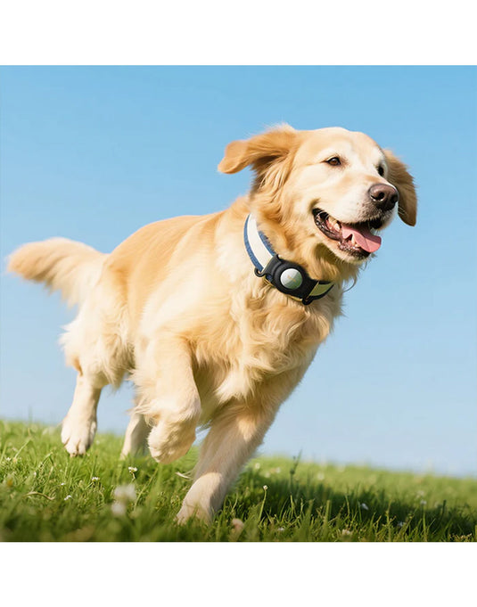 Hoco Smart Wireless Pet Tracker Tag w/ 9-12 Months Battery Life, Comfortable Collar (E91C)