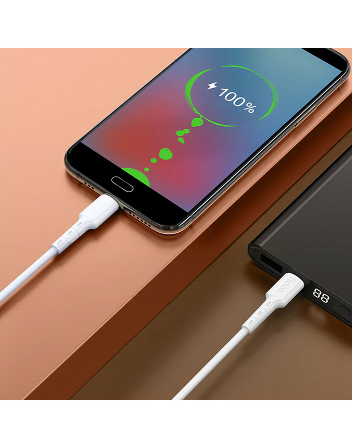 Hoco Super Fast Charge Type C to Type C Cable D40