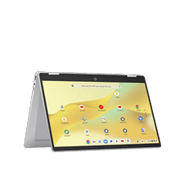 Chromebooks icon