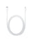 iPhone USB-C to Lightning Cable (1M)