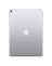 Apple iPad 5 (2017) 9.7-inch 128GB Wifi + Cellular 4G (As New- Pre-Owned) - TechCrazy