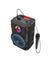 Hoco Wireless Bluetooth Speaker with Karaoke and Mic BS46 Mature - TechCrazy