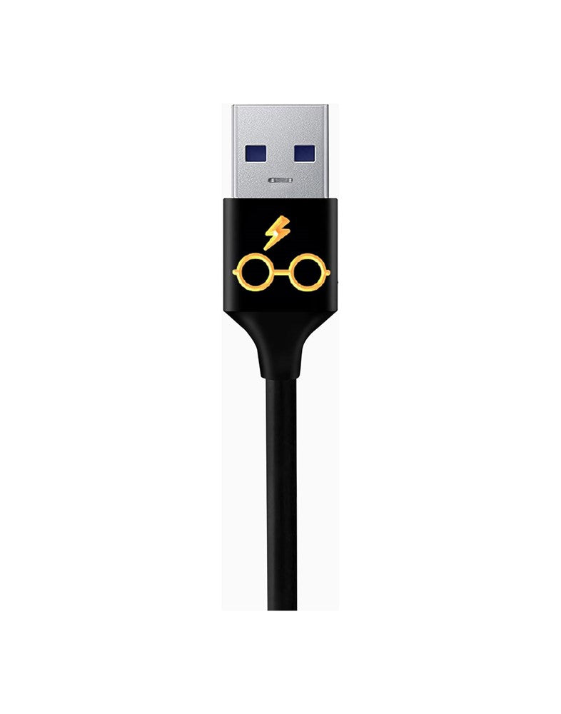 HARRY POTTER USB TO TYPE-C- CHARGING CABLE  19 DC